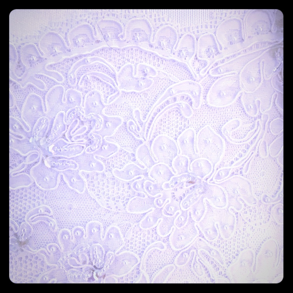 Wedding veil, photo album and guest book